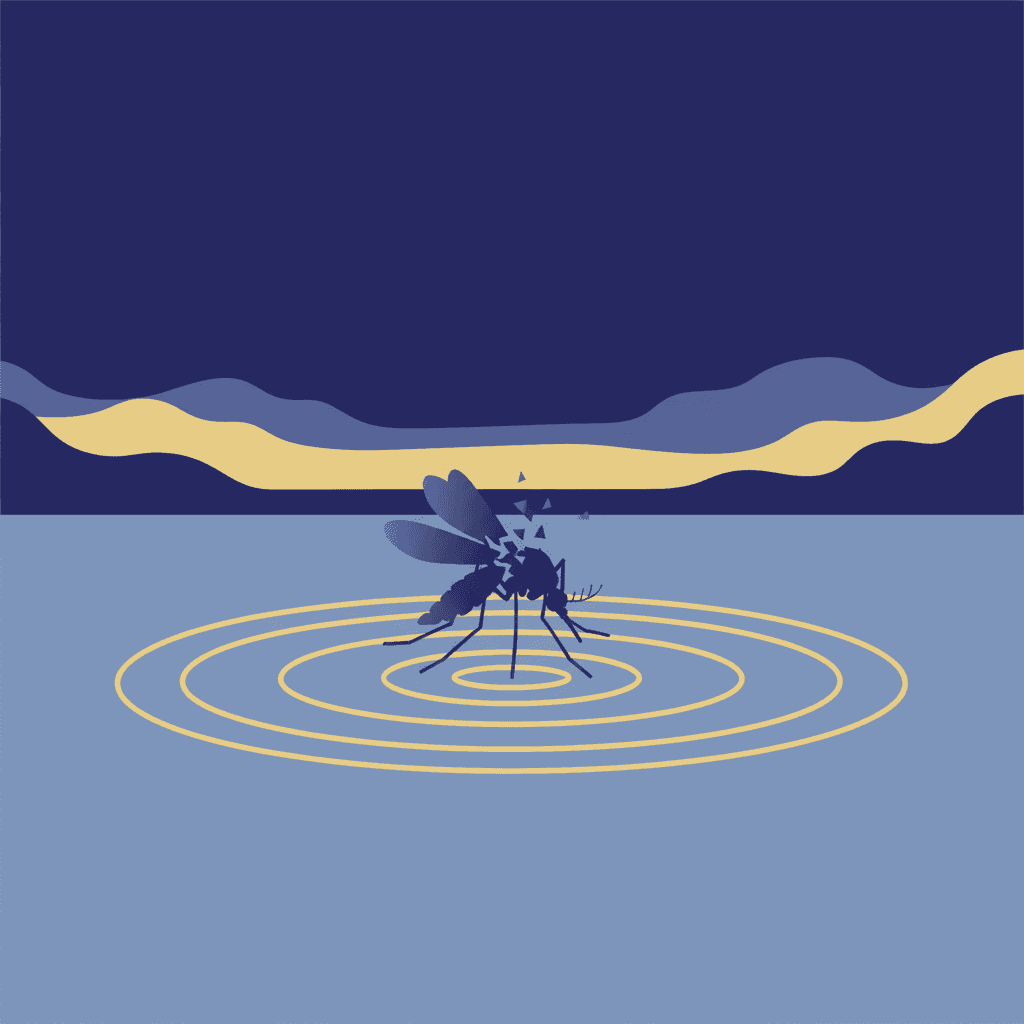 West Nile Virus - illustration, Jake Team LLC